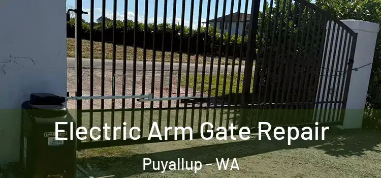 Electric Arm Gate Repair Puyallup - WA